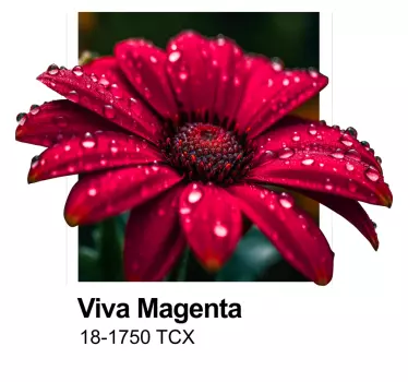 "Viva Magenta" kleur Muursticker - TenStickers