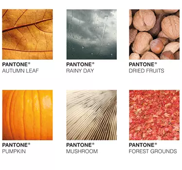 Muursticker Herfst Patronen - TenStickers