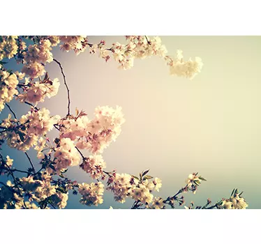 Laptop sticker bloemen lente - TenStickers