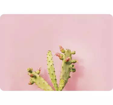 Planten sticker cactus op roze achtergrond - TenStickers
