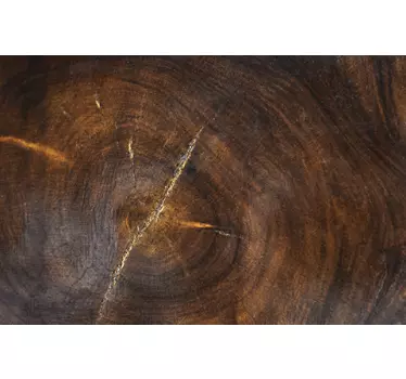 Muurstickers ornament houten boomstam - TenStickers