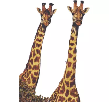 Sticker giraffe realistisch - TenStickers