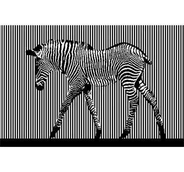 Muursticker zebra lijnen - TenStickers