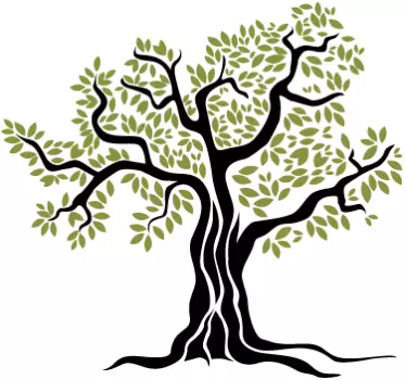 Muursticker met boom olijven - TenStickers