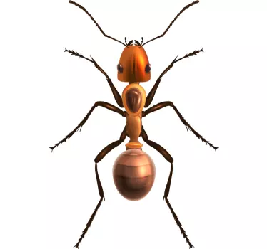 Muurstickers insecten grote mier - TenStickers