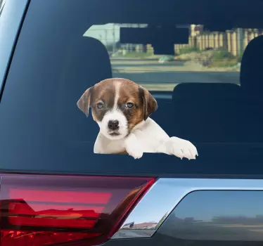 Hond gluurt Nederlands Muursticker - TenStickers
