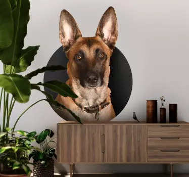 Muursticker Belgische herder - TenStickers