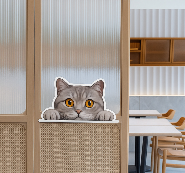 Raamsticker kijkende nieuwsgierige kat - TenStickers