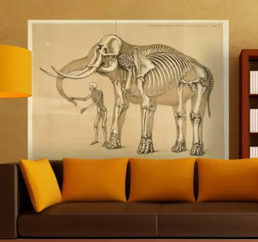 Sticker skelet man olifant - TenStickers