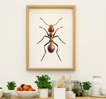 Muurstickers insecten grote mier - TenStickers