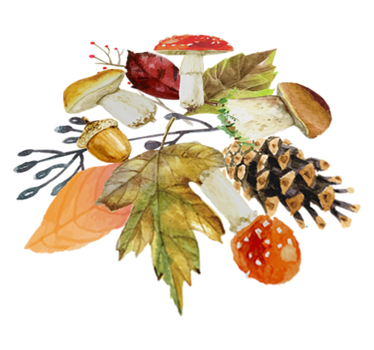 Vinyl tapijt bloemen en planten herfst elementen - TenStickers