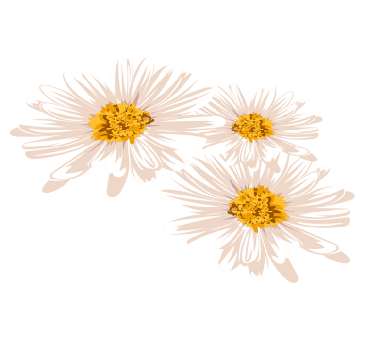Vinyl tapijt bloemen en planten charmante bloemarrangement - TenStickers