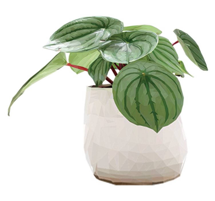 Vinyl tapijt bloemen en planten eenvoudige kamerplant - TenStickers