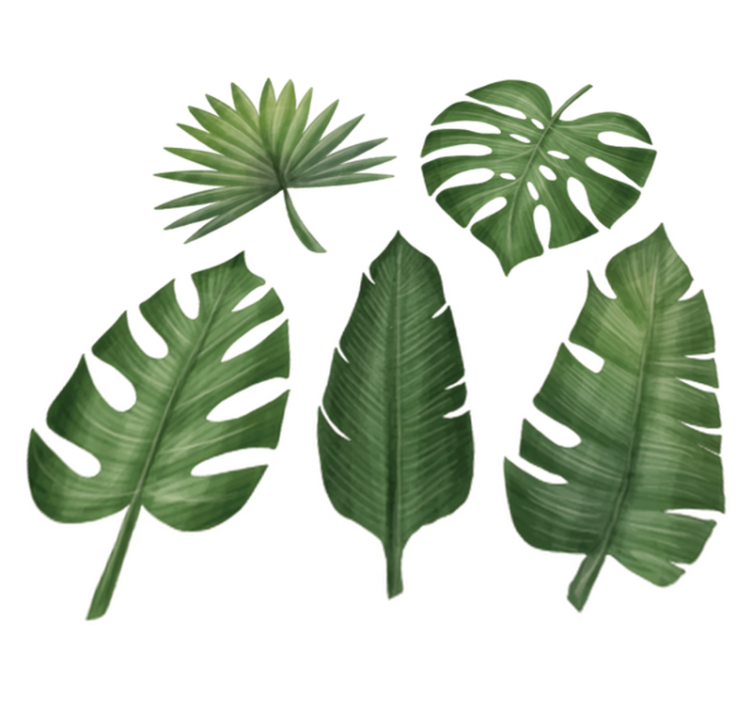 Vinyl tapijt bloemen en planten grote groene bladeren - TenStickers