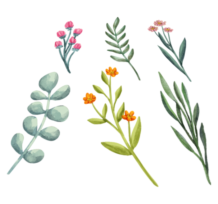 Vinyl tapijt bloemen en planten takken - TenStickers