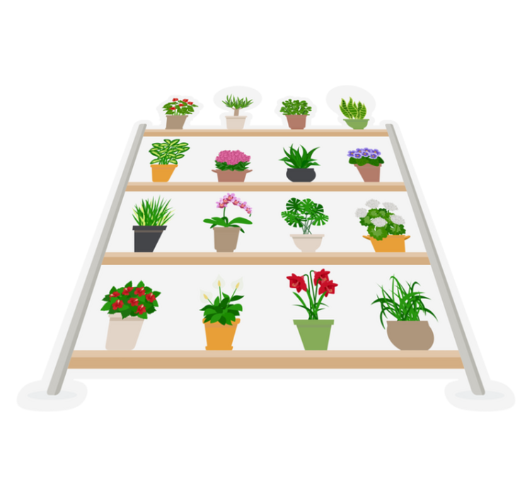 Vinyl tapijt keuken met kamerplanten op planken - TenStickers