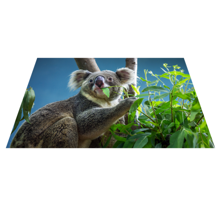 Koala in de natuur dieren vinyl tapijt - TenStickers