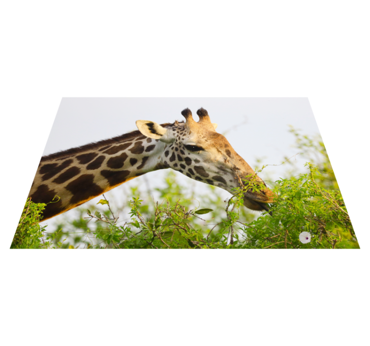 Giraffe eet groenten dieren vinyl tapijt - TenStickers