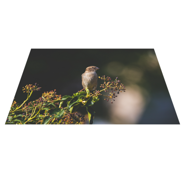 Charmante vogel op stok vinyl tapijt natuur - TenStickers