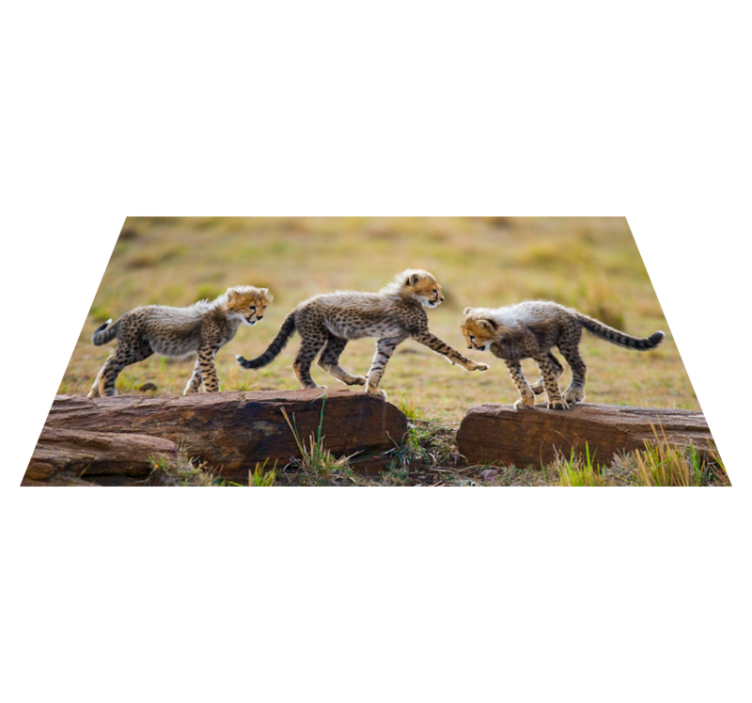 Cheetawelpen avontuur dieren vinyl tapijt - TenStickers