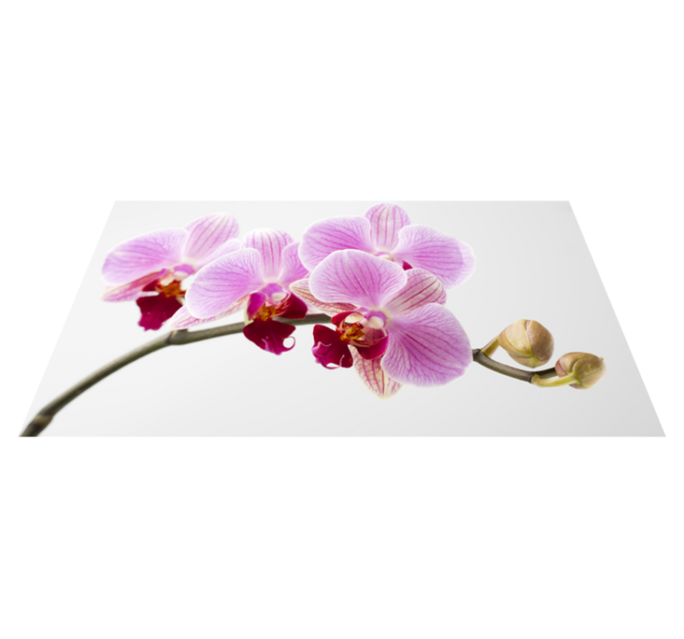 Roze orchideeënontwerp vinyl tapijt bloemen en planten - TenStickers