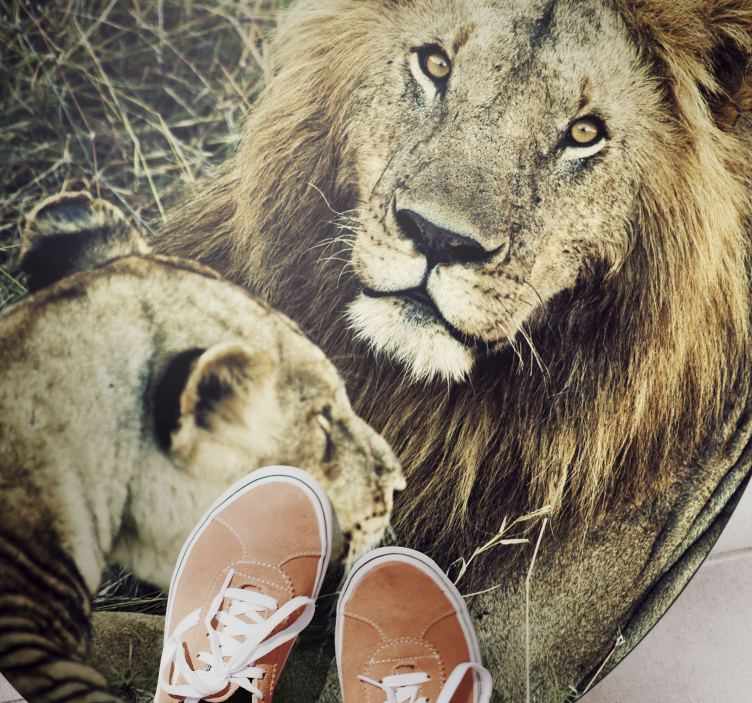 Majestueus leeuwenpaar dieren vinyl tapijt - TenStickers