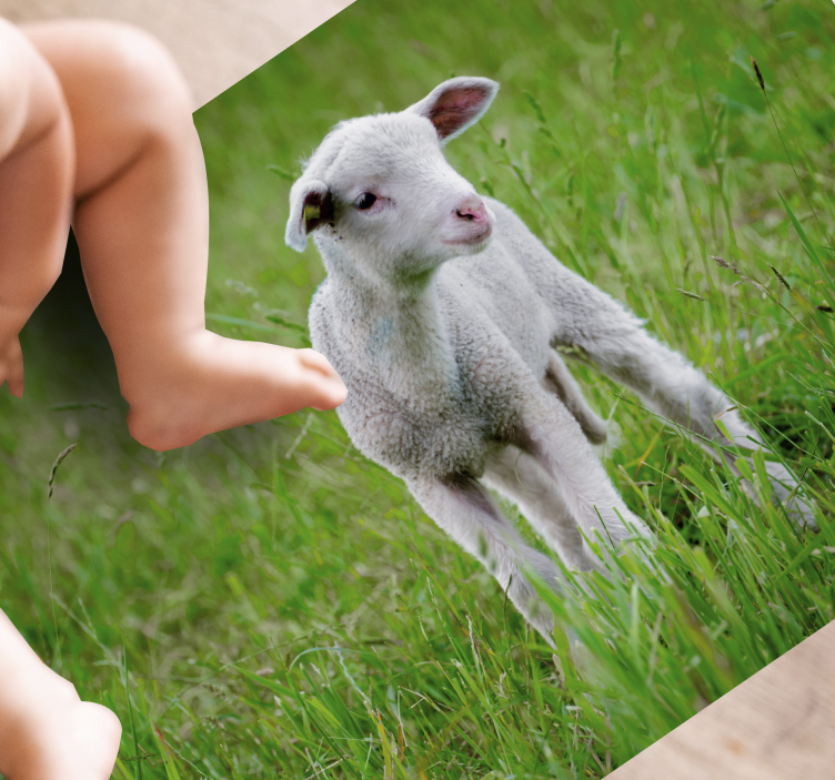 Babylam staand dieren vinyl tapijt - TenStickers