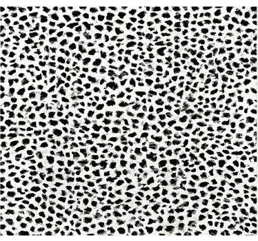 Monochrome luipaardprint vinyl tapijt eetkamer - TenStickers