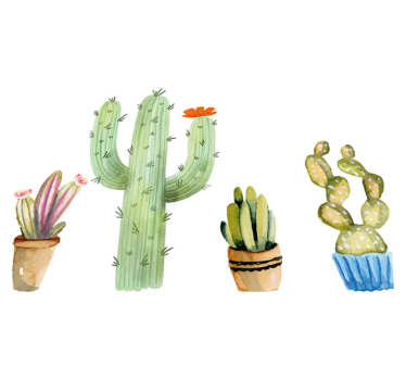 Vinyl tapijt eetkamer set variëteit aan cactussen - TenStickers