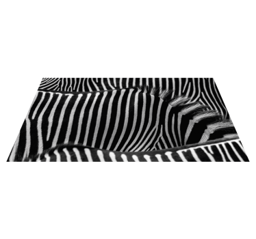 Vinyl tapijt met zebrahuid en dierenprint - TenStickers