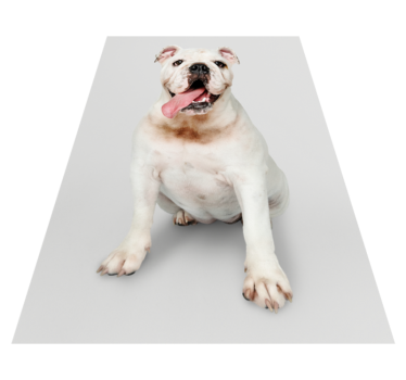Blij bulldogportret vinyl vloerkleed dierenprint - TenStickers