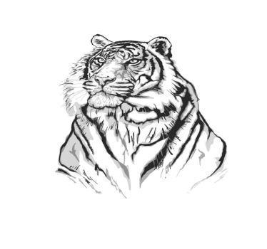 Tijger artistiek portret vinyl vloerkleed dierenprint - TenStickers