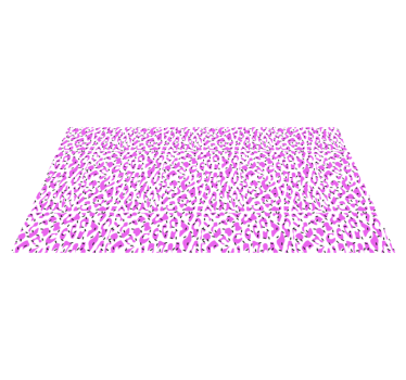 Fuchsia luipaardpatroon vinyl vloerkleed dierenprint - TenStickers