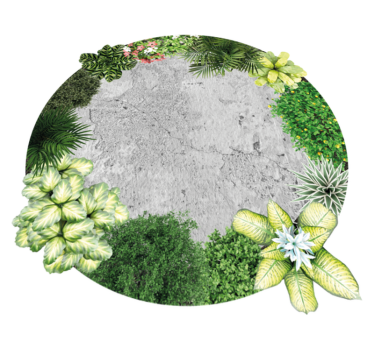 Cemment tuin vinyl tapijt - TenStickers