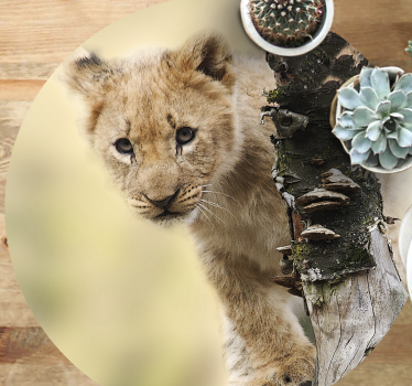 Nieuwsgierige leeuwenwelp vinyl vloerkleed dierenprint - TenStickers