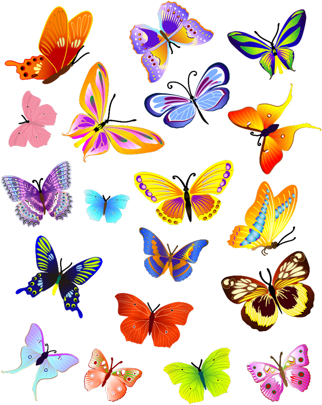 Dieren vinyl tapijt met multicolor vliegende vlinders - TenStickers