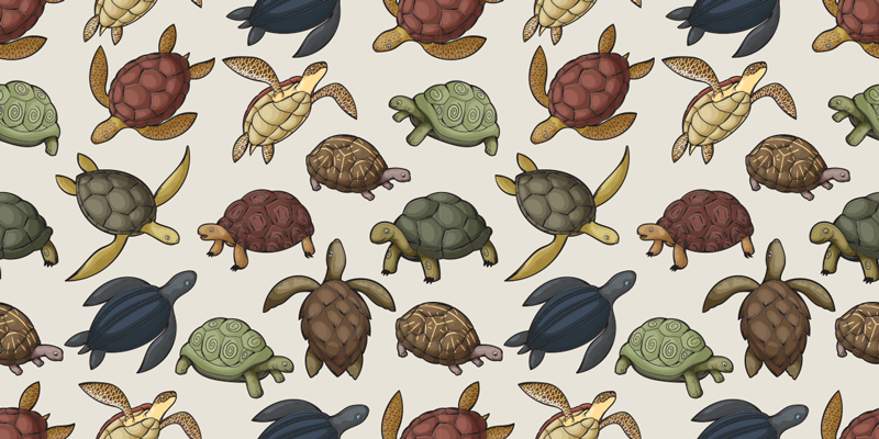 Dieren vinyl tapijt met verschillende schildpadden - TenStickers