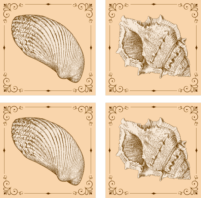 Dieren vinyl tapijt vintage schelpen - TenStickers