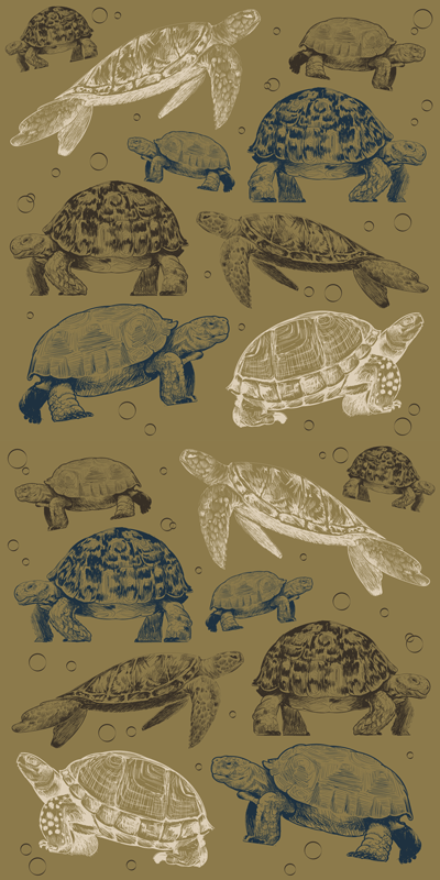 Dieren vinyl tapijt met een beige achtergrond schildpadden - TenStickers