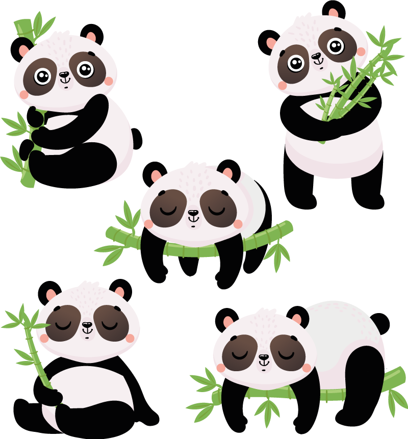 Dieren vinyl tapijt schattige panda illustraties - TenStickers