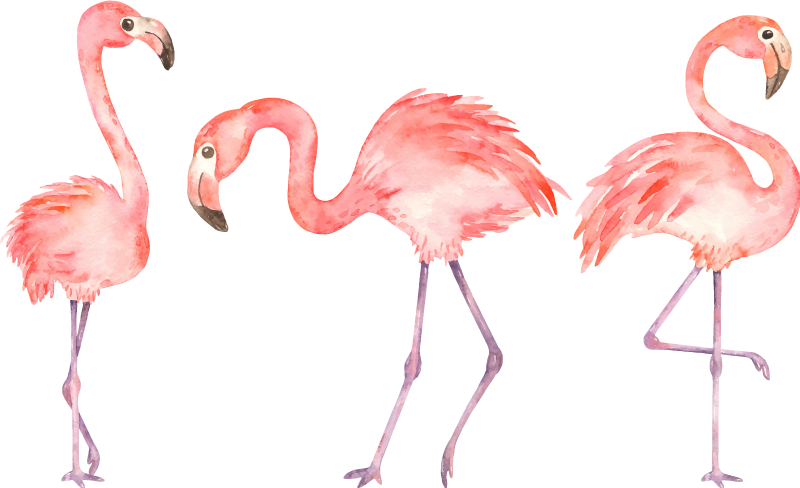 Dieren vinyl tapijt elegant flamingo trio - TenStickers