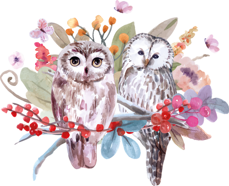 Dieren vinyl tapijt uilen in de natuur - TenStickers
