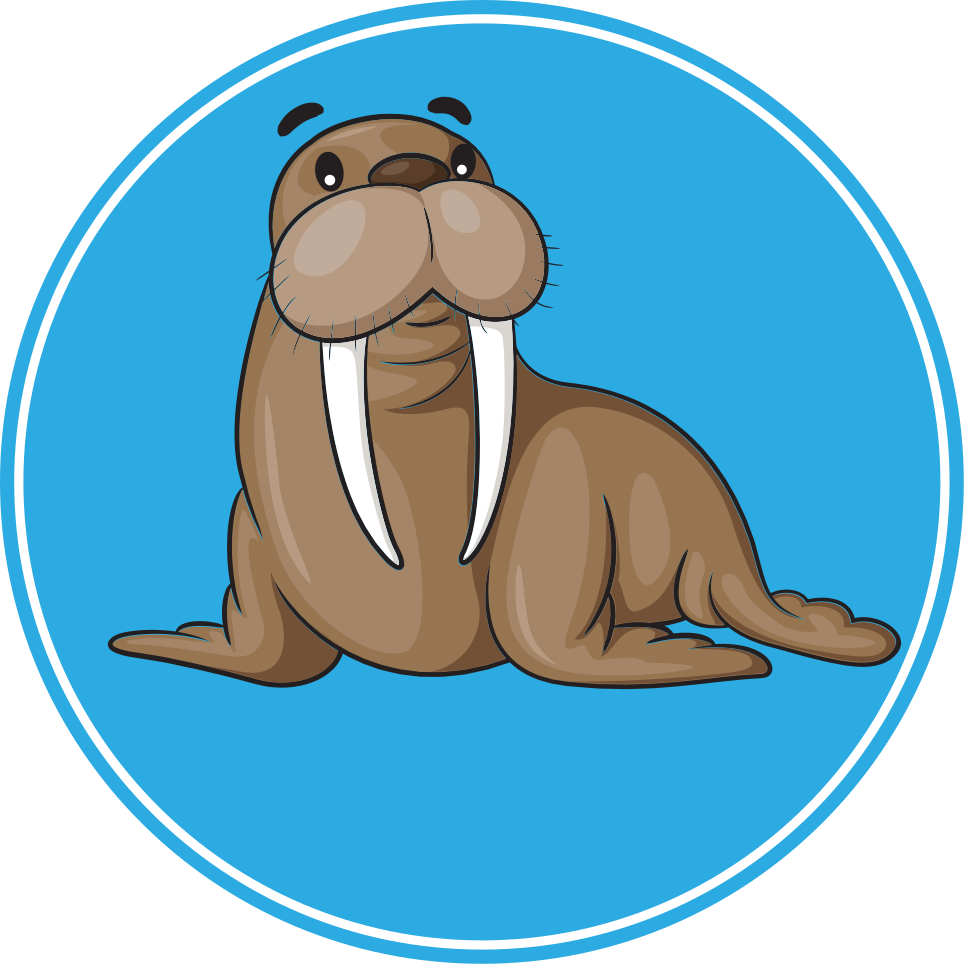 Dieren vinyl tapijt schattig walrus karakter - TenStickers