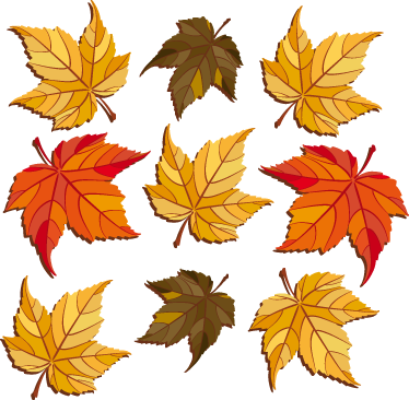 Vinyl tapijt bloemen en planten herfstbladeren - TenStickers