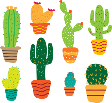 Vinyl tapijt bloemen en planten kleurrijk cactuspakket - TenStickers