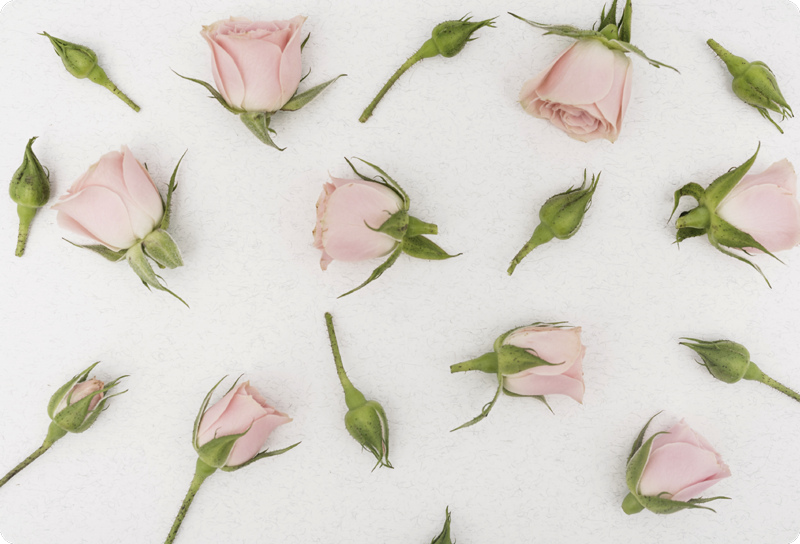 Vinyl tapijt bloemen en planten romantische lentebloem - TenStickers