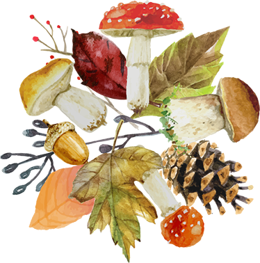 Vinyl tapijt bloemen en planten herfst elementen - TenStickers