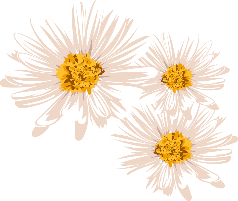 Vinyl tapijt bloemen en planten charmante bloemarrangement - TenStickers