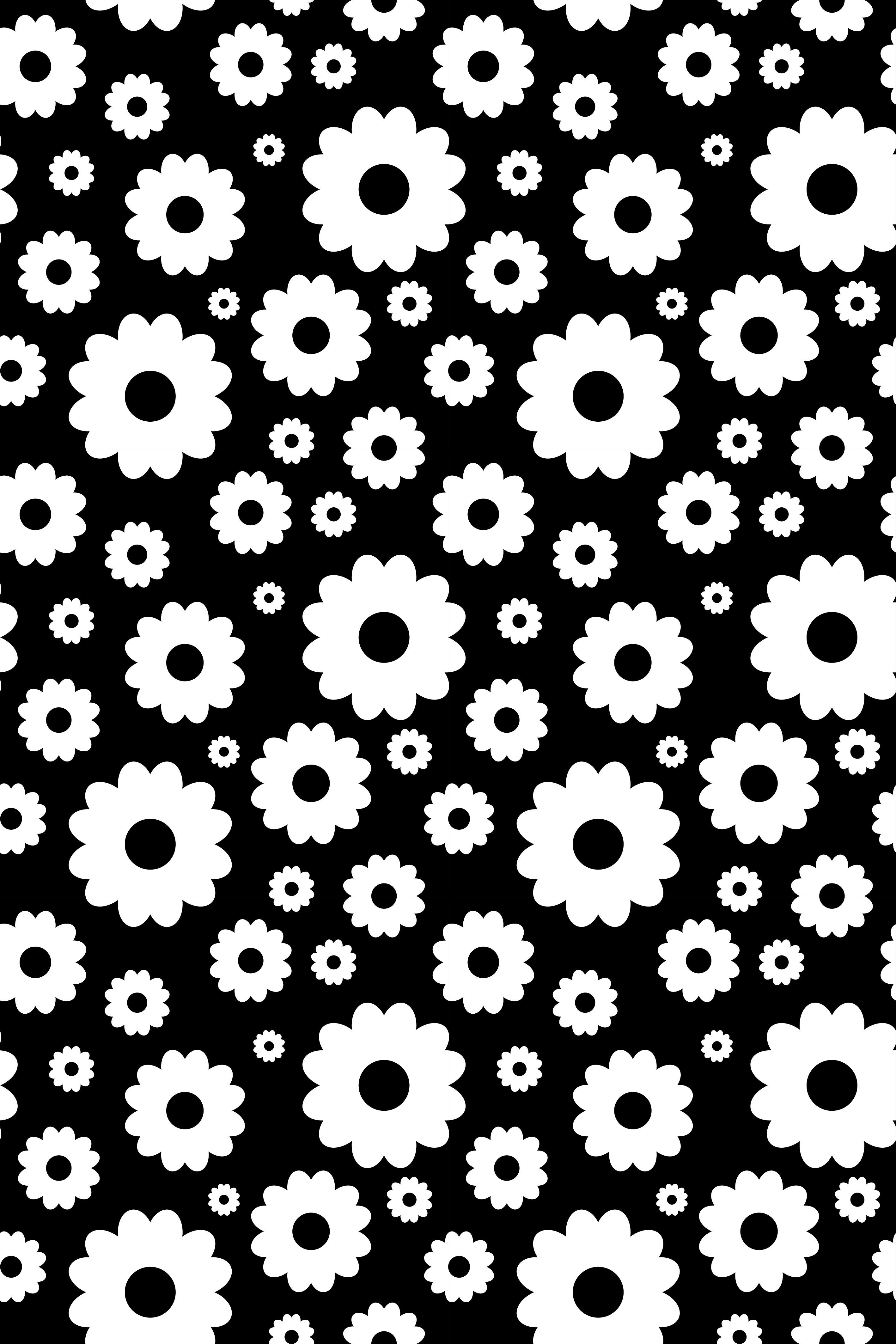 Vinyl tapijt bloemen en planten zwart-witte madeliefjes - TenStickers