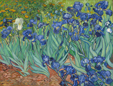 Vinyl tapijt bloemen en planten van gogh bloemen - TenStickers